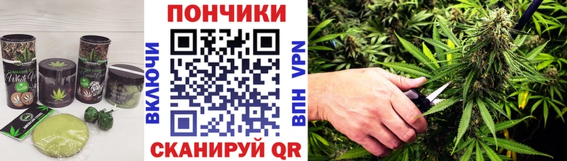 Canna-Cookies конопля  Купить закладки  Кириллов 