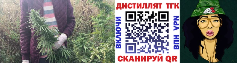 Купить  Кириллов  Дистиллят ТГК вейп с тгк 