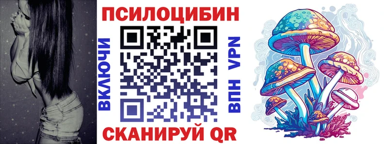 Купить где  Кириллов  Галлюциногенные грибы прущие грибы 
