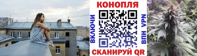 Купить закладки  Кириллов  Марихуана конопля 